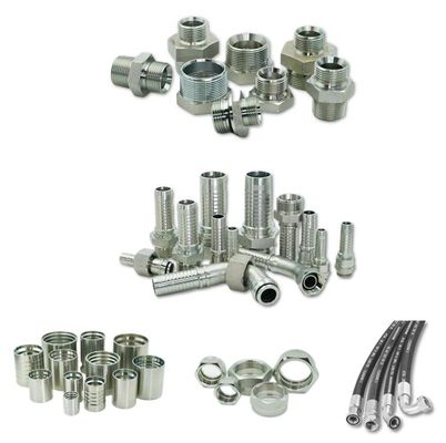 OEM Edelstahl Haltbares Hydraulisches Rohrbelag Hydraulisches Schlauchbelag Ferrule Nut