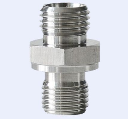 1CM-WD 1DM-WD Männlich NPT-Bsp-Gleitadapter für 304 Edelstahlrohranlagen